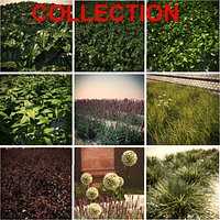 HQ Vegetation Pack (9 Models)