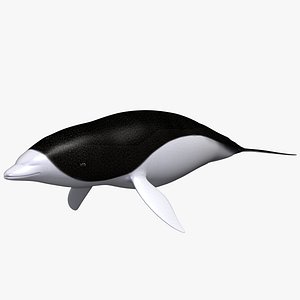 Dolphin Liso