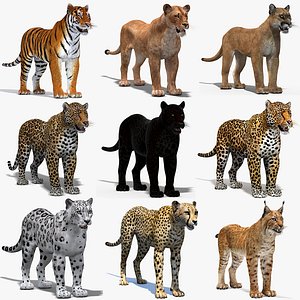 Big Cats 03