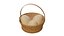 Egg Basket