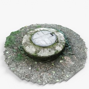 3D model Manhole cover forest