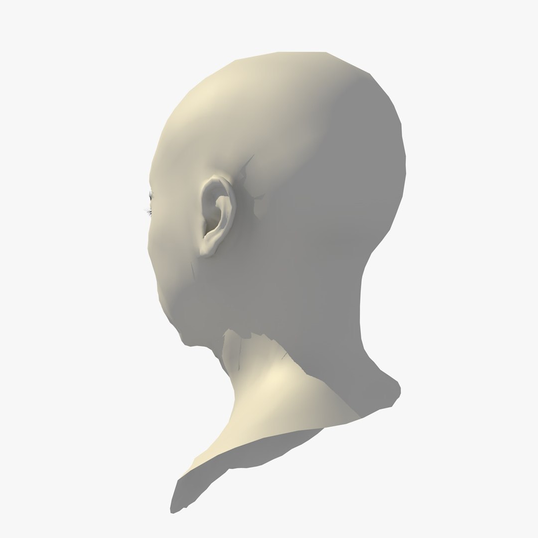 Realistic Head Base Mesh 3D Model - TurboSquid 1438807