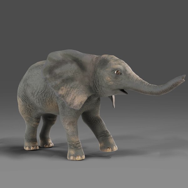 Baby Elephant Rigged and Animation Unity 3D model - TurboSquid 2013772