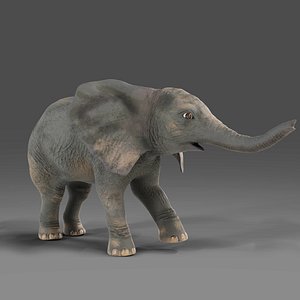 Baby Elephant Rigged and Animation Unity