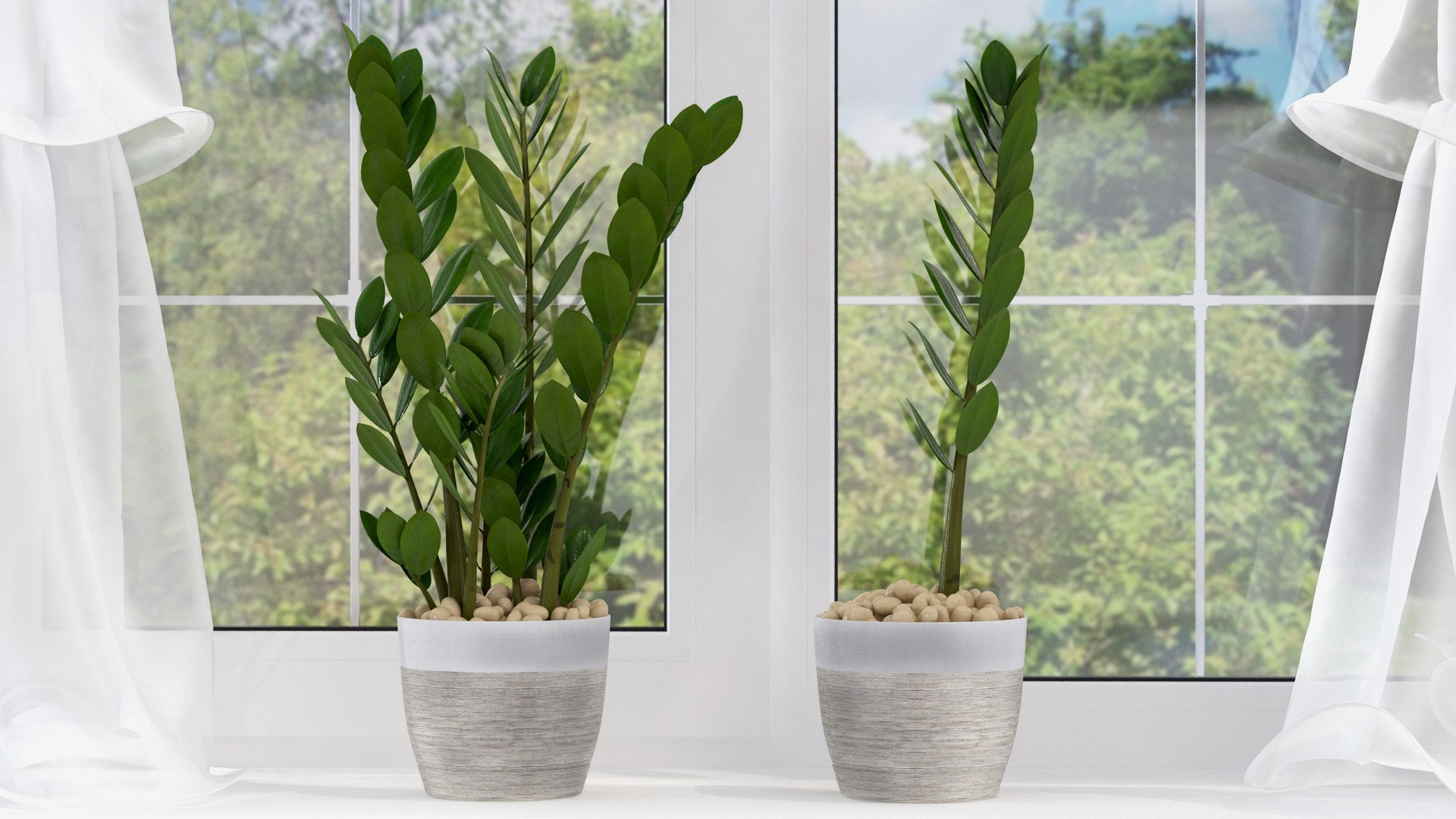 Home Flower Pots Collection 7 3D model https://p.turbosquid.com/ts-thumb/7z/ILONGy/ZD/home_flower_pots_collection_7_014/jpg/1741787540/1920x1080/fit_q87/07e3e9f5f01aa743b26b81652a9b3383e6fb823e/home_flower_pots_collection_7_014.jpg