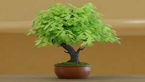 Bonsai Tree 3d Model 3D