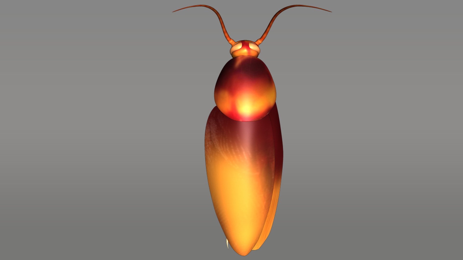 Cockroaches Insects Obj