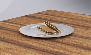 wafer model