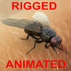 3D HouseFly Rigged Animated 8K PBR Textures