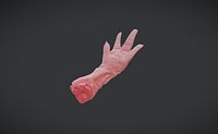 Chicken Foot