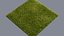 3D real grass model