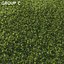 3D real grass model