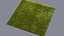 3D real grass model