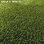 3D real grass model