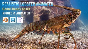 Realistic Lobster Animated