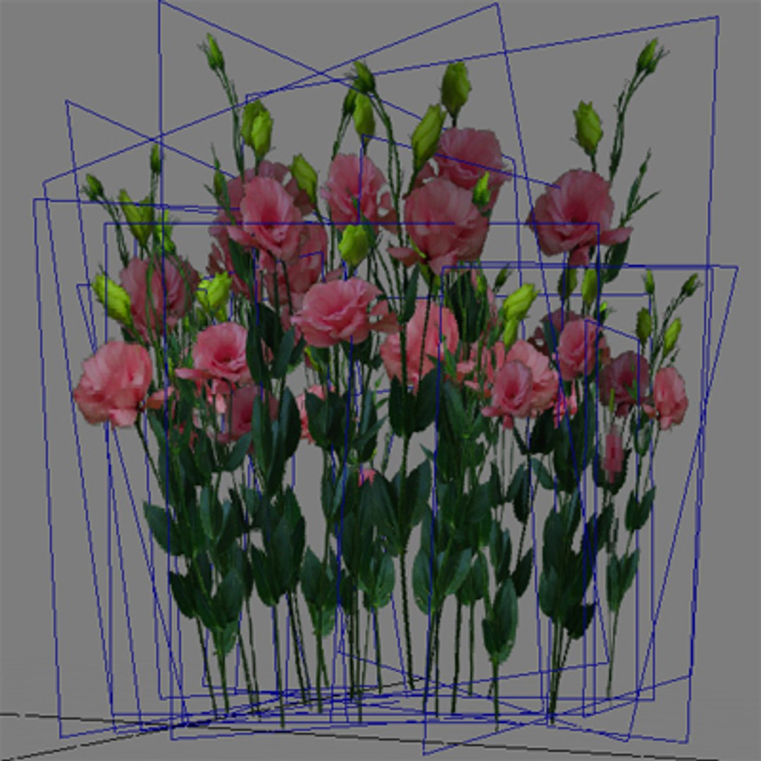flowers pc ps3 3d max https://p.turbosquid.com/ts-thumb/80/N5h11c/SO8BnFe2/flower_038_wire/jpg/1229775100/1920x1080/fit_q87/f7e2cb47fdca83043a8eebe7c4624c359bb182a7/flower_038_wire.jpg