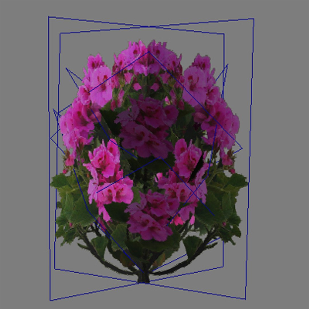 flowers pc ps3 3d max https://p.turbosquid.com/ts-thumb/80/N5h11c/Tuxe0yp5/flower_045_wire/jpg/1229775484/1920x1080/fit_q87/7bb8ce3a1d8b4a559be809116e0dd90d1c3e0da2/flower_045_wire.jpg