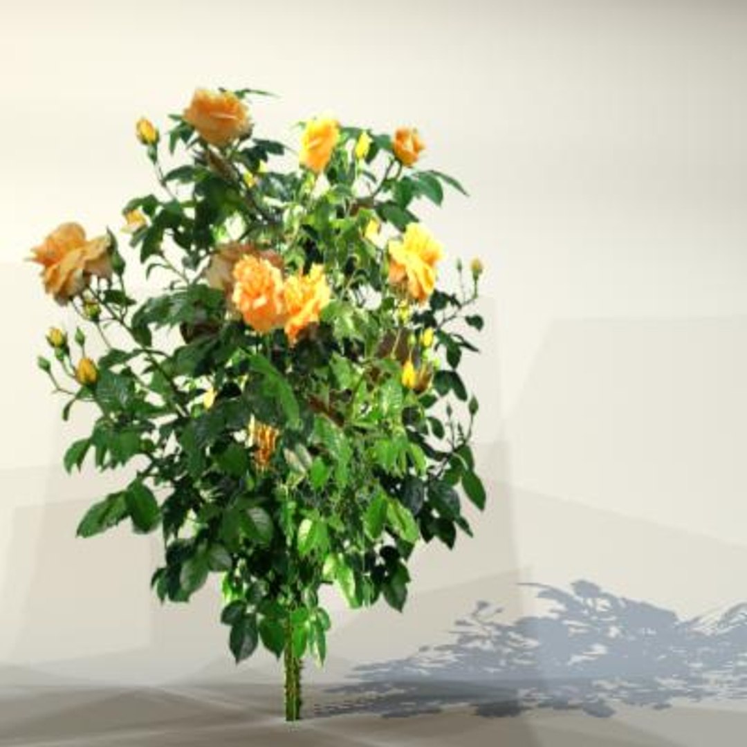 flowers pc ps3 3d max https://p.turbosquid.com/ts-thumb/80/N5h11c/Vf0XwkvC/flower_034_01/jpg/1229774873/1920x1080/fit_q87/2af20cca84a856b499b34d02bb2a2b5c3618b6a0/flower_034_01.jpg