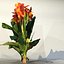 Collection_flower_02