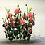 Collection_flower_02