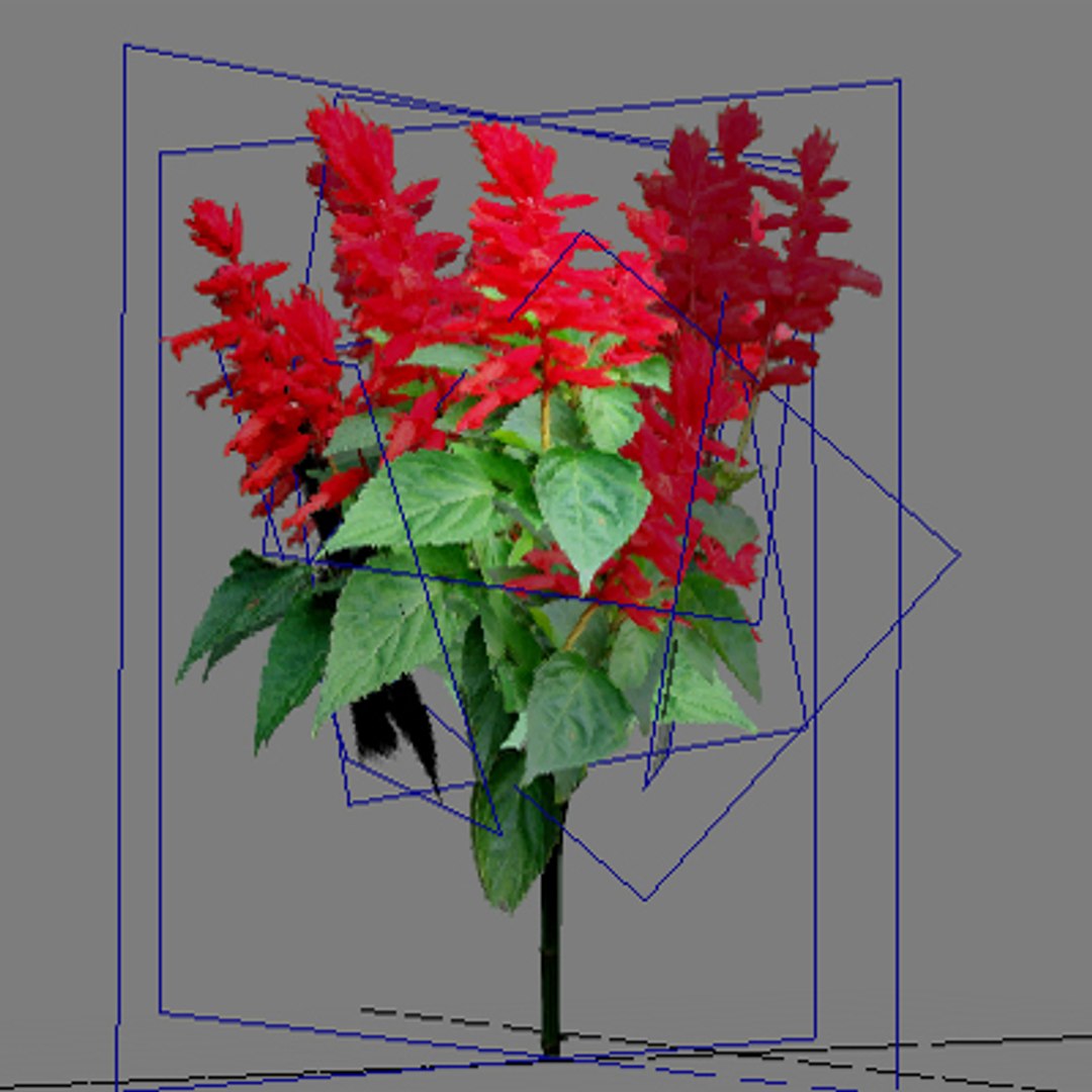 flowers pc ps3 3d max https://p.turbosquid.com/ts-thumb/80/N5h11c/n06ntM1T/flower_037_wire/jpg/1229775066/1920x1080/fit_q87/2e415df74e141efa92b312ae98e709a743625477/flower_037_wire.jpg