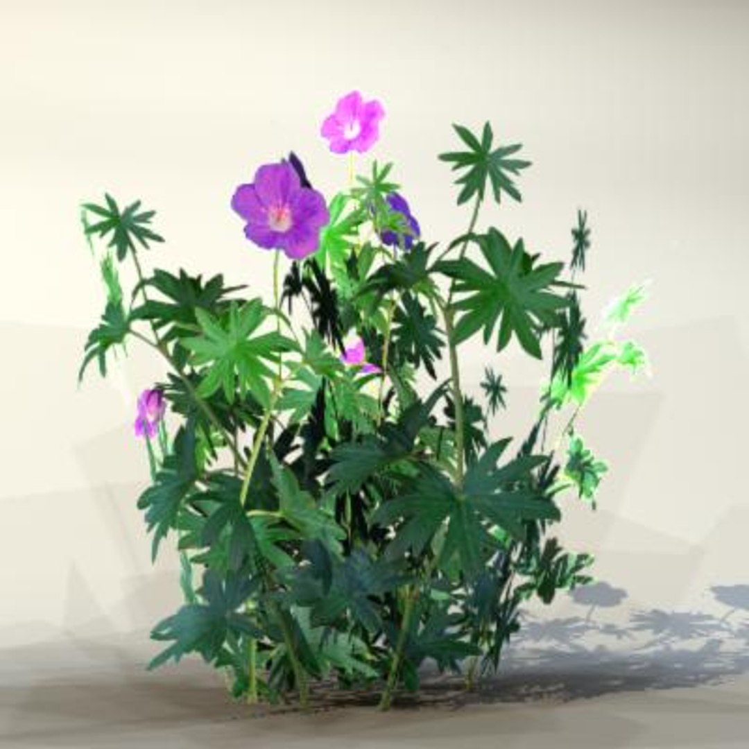 flowers pc ps3 3d max https://p.turbosquid.com/ts-thumb/80/N5h11c/yqmfC6KG/flower_049_01/jpg/1229775508/1920x1080/fit_q87/71564a62210cfd85b5de5e9526ff683425c0380d/flower_049_01.jpg