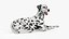 Spotted Dalmatian Dog Rigged