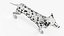 Spotted Dalmatian Dog Rigged