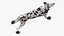 Spotted Dalmatian Dog Rigged