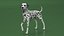 Spotted Dalmatian Dog Rigged