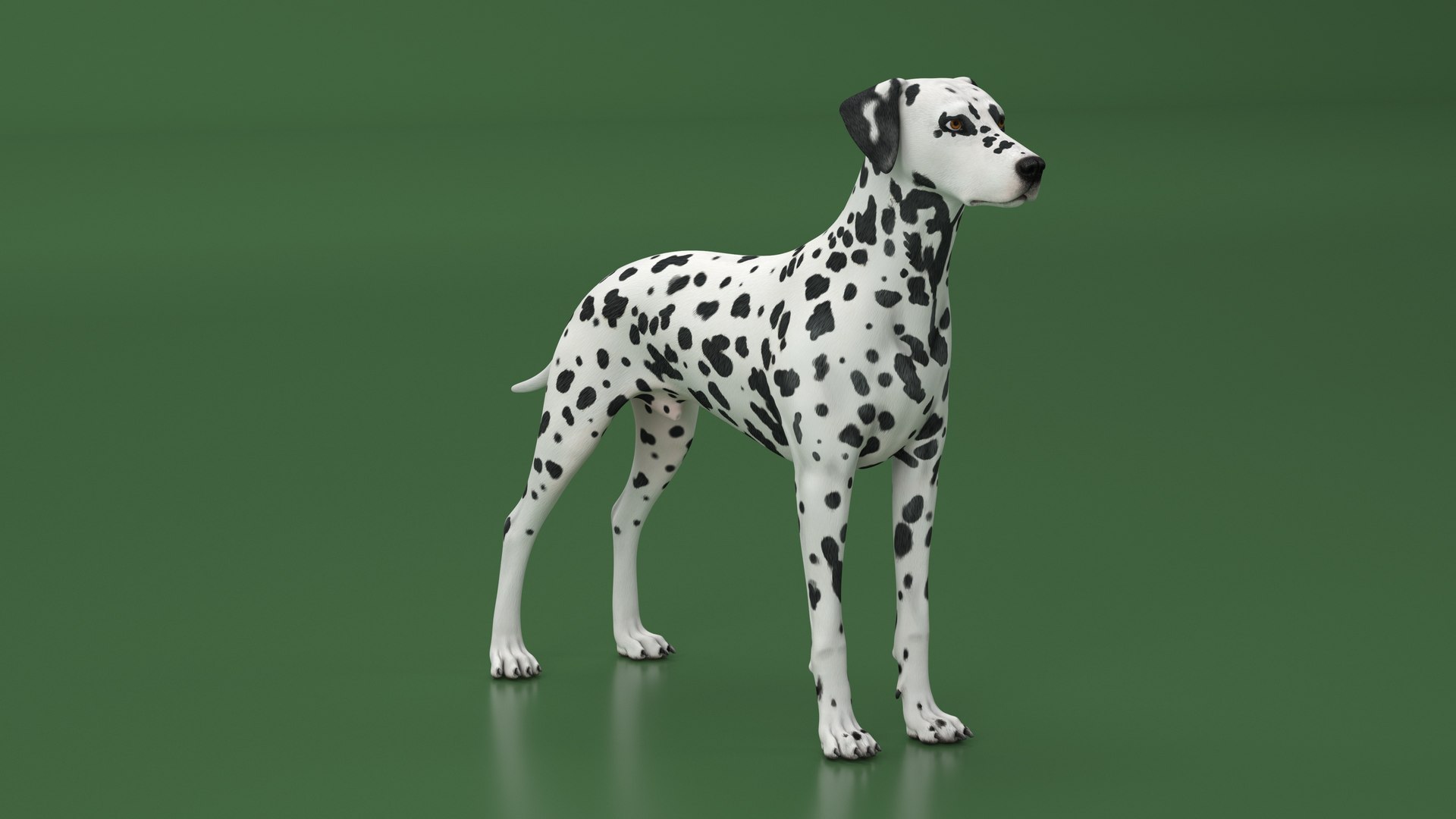 3D Spotted Dalmatian Dog Rigged model https://p.turbosquid.com/ts-thumb/80/dOcMBf/J0/spotteddalmatiandogriggedc4dmodel014/jpg/1716121346/1920x1080/fit_q87/5c8f19a161fc4bf273d53706222a6347380d6703/spotteddalmatiandogriggedc4dmodel014.jpg