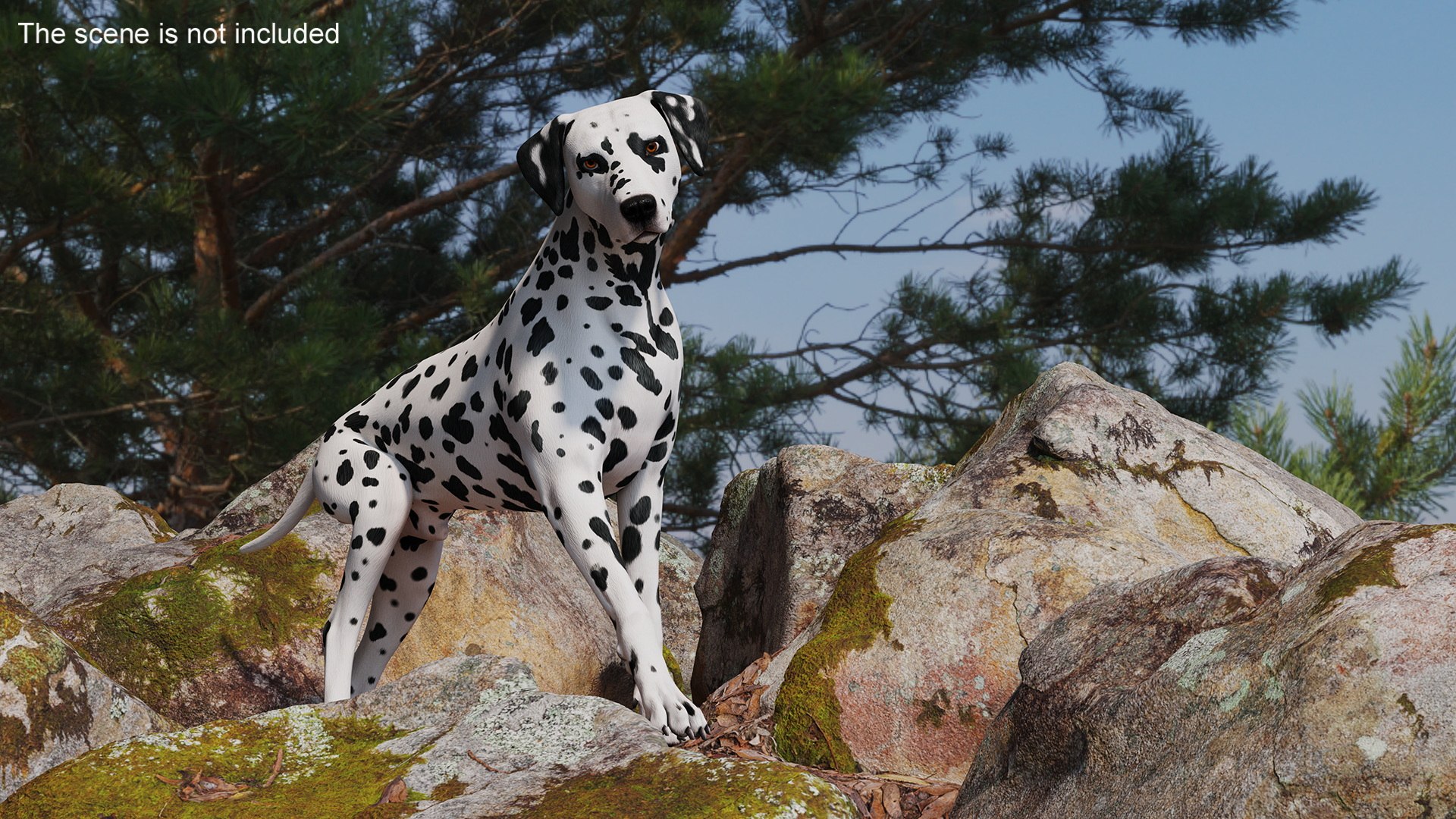 3D Spotted Dalmatian Dog Rigged model https://p.turbosquid.com/ts-thumb/80/dOcMBf/ND/spotteddalmatiandogriggedc4dmodel006/jpg/1716121328/1920x1080/fit_q87/8de6c8d04744c116c9cf9565b6754011501bd46c/spotteddalmatiandogriggedc4dmodel006.jpg
