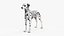 3D Spotted Dalmatian Dog Rigged model