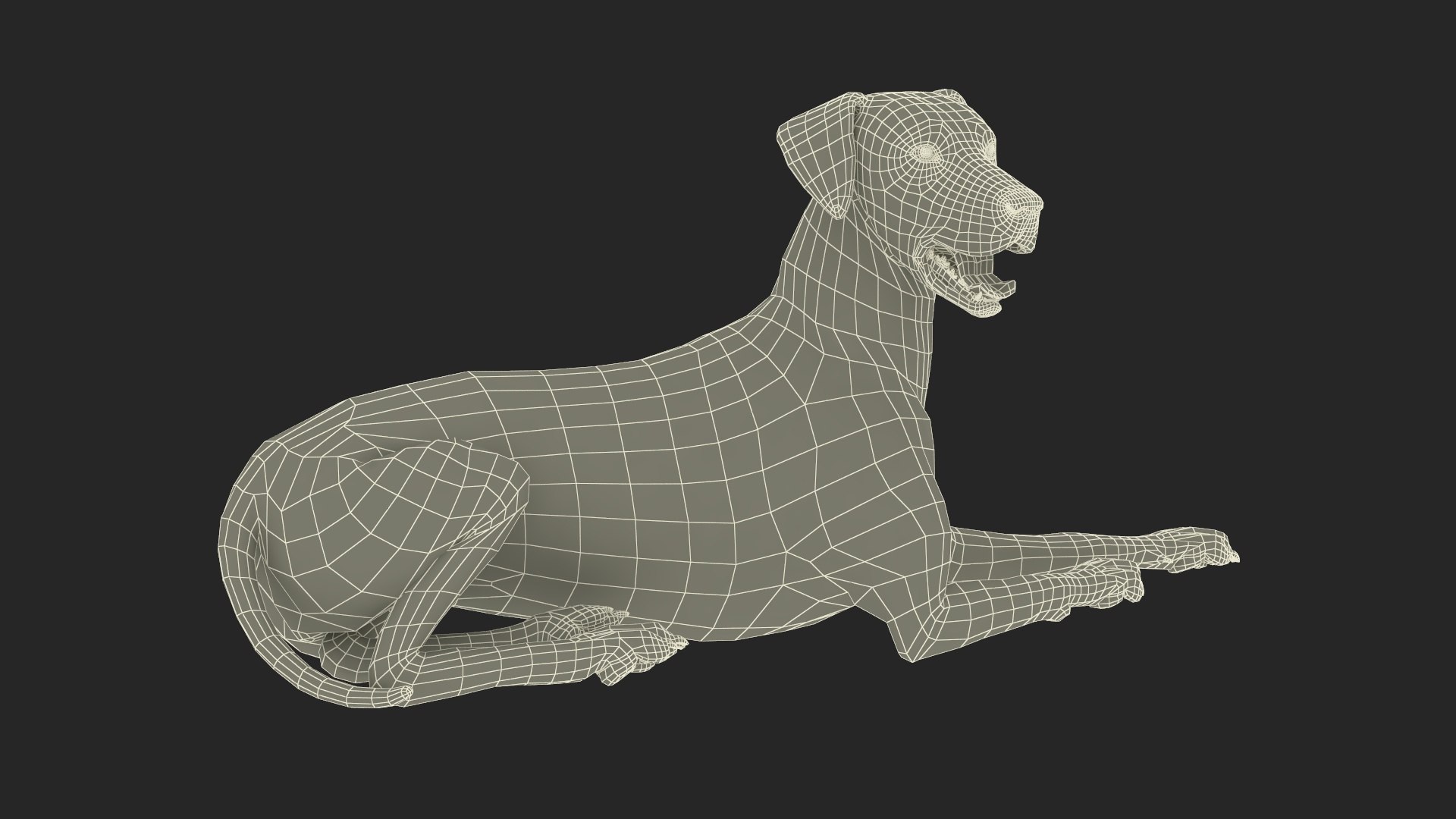 3D Spotted Dalmatian Dog Rigged model https://p.turbosquid.com/ts-thumb/80/dOcMBf/Sl/spotteddalmatiandogriggedc4dmodel045/jpg/1716121458/1920x1080/fit_q87/1eaeddc377243752d1417b618aadbb921b380b02/spotteddalmatiandogriggedc4dmodel045.jpg