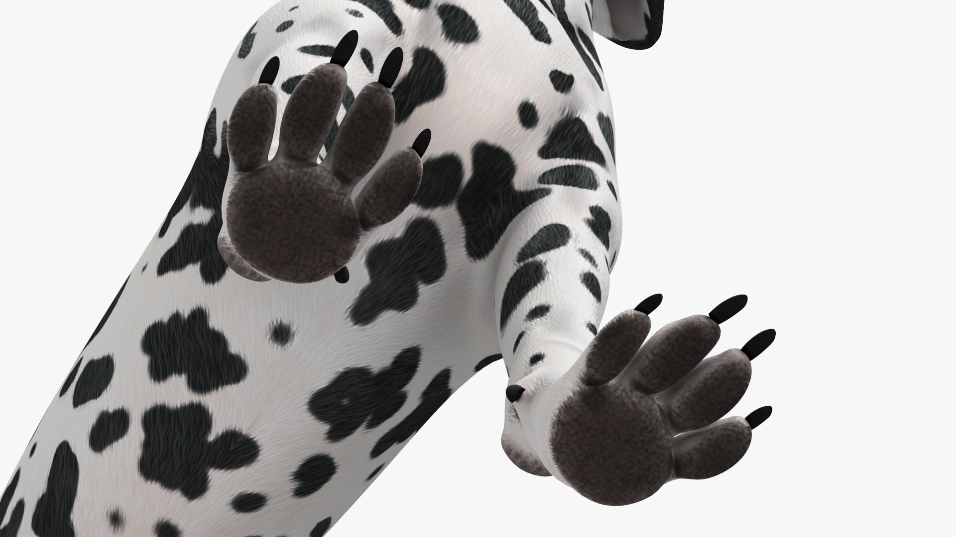 3D Spotted Dalmatian Dog Rigged model https://p.turbosquid.com/ts-thumb/80/dOcMBf/WK/spotteddalmatiandogriggedc4dmodel036/jpg/1716121422/1920x1080/fit_q87/05ae51a06377805f49e75688b296506c4e733efd/spotteddalmatiandogriggedc4dmodel036.jpg
