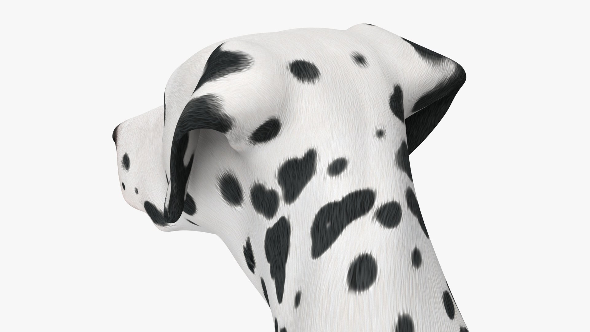 3D Spotted Dalmatian Dog Rigged model https://p.turbosquid.com/ts-thumb/80/dOcMBf/bY/spotteddalmatiandogriggedc4dmodel034/jpg/1716121413/1920x1080/fit_q87/d762bf9402fd801c3bc285cbe740f2cdeb5d0d1a/spotteddalmatiandogriggedc4dmodel034.jpg