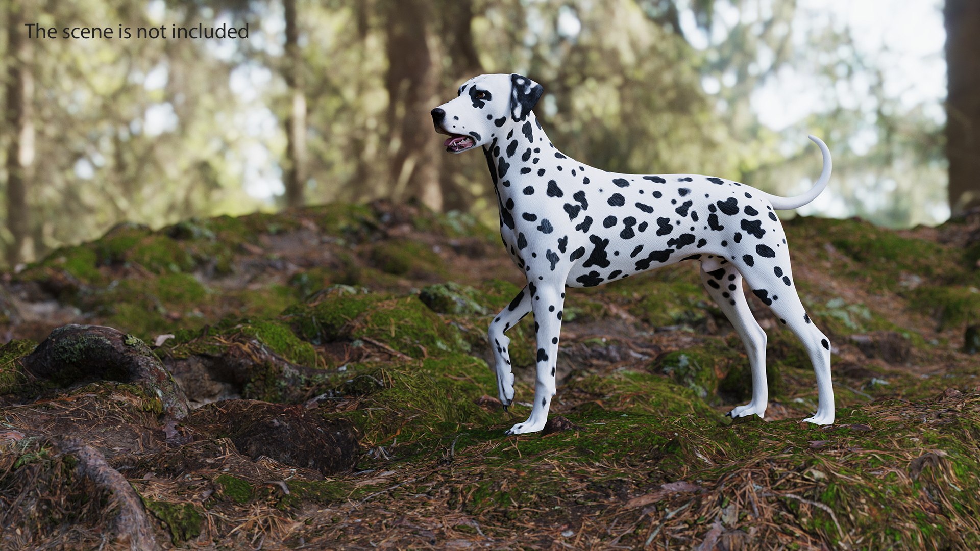 3D Spotted Dalmatian Dog Rigged model https://p.turbosquid.com/ts-thumb/80/dOcMBf/kY/spotteddalmatiandogriggedc4dmodel010/jpg/1716121337/1920x1080/fit_q87/4cb1166dc14a731ec7a0224b794bb73496bb8fd0/spotteddalmatiandogriggedc4dmodel010.jpg