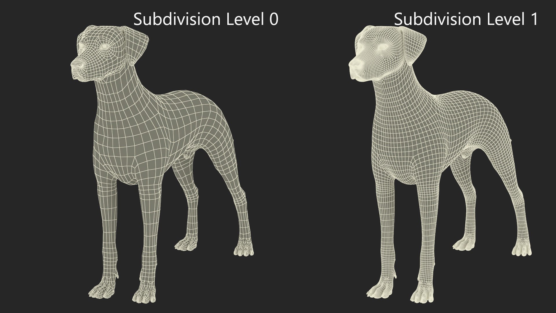 3D Spotted Dalmatian Dog Rigged model https://p.turbosquid.com/ts-thumb/80/dOcMBf/kY/spotteddalmatiandogriggedc4dmodel038/jpg/1716121430/1920x1080/fit_q87/fc58c5dec99c0d03bb055698f46b985ede2fbc00/spotteddalmatiandogriggedc4dmodel038.jpg