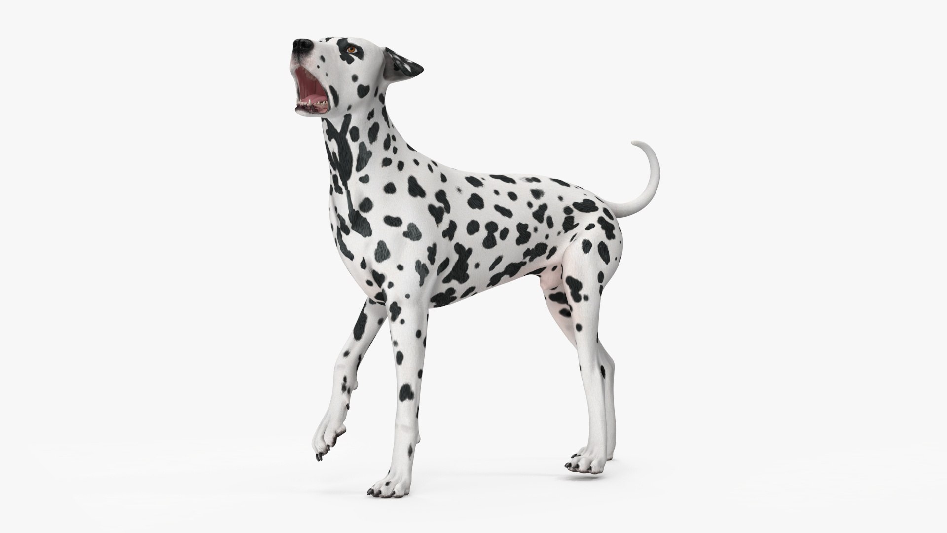 3D Spotted Dalmatian Dog Rigged model https://p.turbosquid.com/ts-thumb/80/dOcMBf/o9/spotteddalmatiandogriggedc4dmodel022/jpg/1716121368/1920x1080/fit_q87/18a18ef5df3006fab6b3e12125af10a0c6525f04/spotteddalmatiandogriggedc4dmodel022.jpg