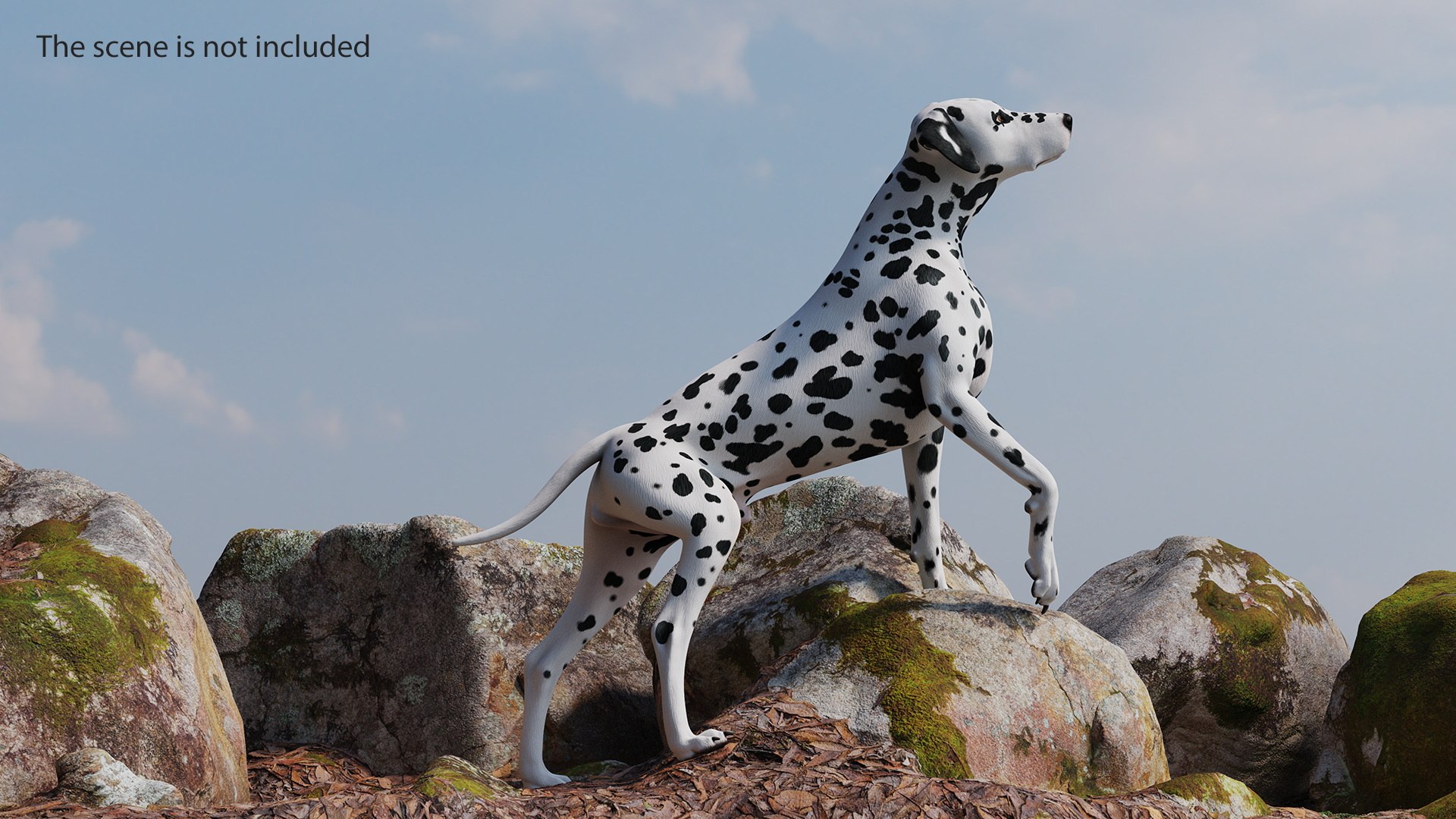 3D Spotted Dalmatian Dog Rigged model https://p.turbosquid.com/ts-thumb/80/dOcMBf/oN/spotteddalmatiandogriggedc4dmodel004/jpg/1716121324/1920x1080/fit_q87/b9614fa5416082b61accab4af65263c9f03a9861/spotteddalmatiandogriggedc4dmodel004.jpg