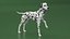 Spotted Dalmatian Dog Rigged