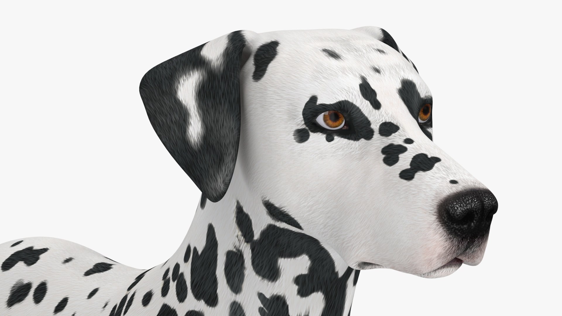 3D Spotted Dalmatian Dog Rigged model https://p.turbosquid.com/ts-thumb/80/dOcMBf/pw/spotteddalmatiandogriggedc4dmodel035/jpg/1716121417/1920x1080/fit_q87/026c45063bbfa1a9b255b7fa3b91f754b2ac581d/spotteddalmatiandogriggedc4dmodel035.jpg