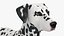 Spotted Dalmatian Dog Rigged