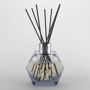 reed diffuser type2 3D model