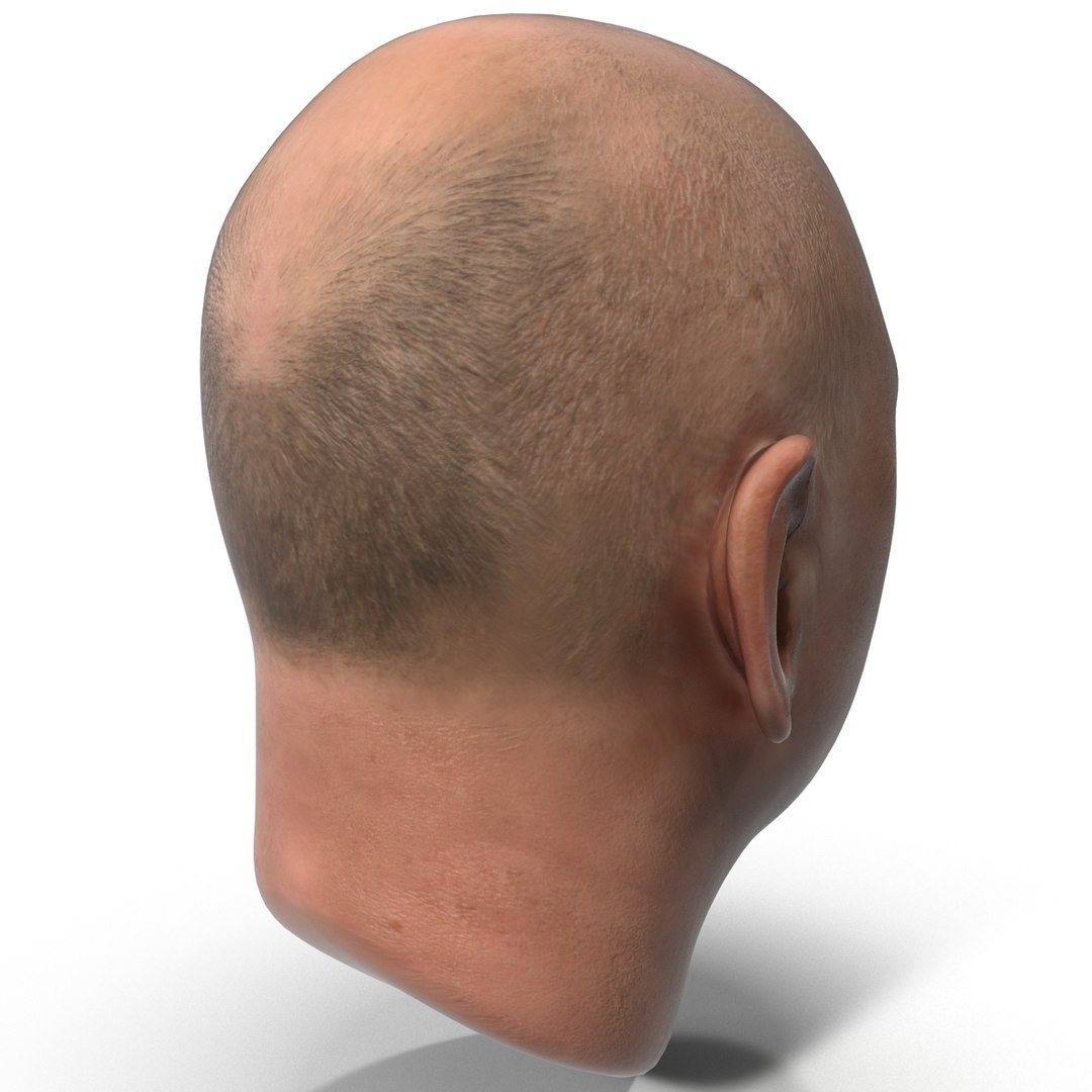 3d Male Head 12 Model