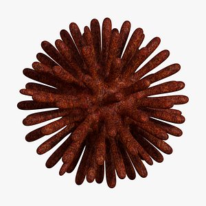 3D sars-cov-2 covid-19 corona virus