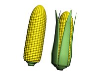 Corn