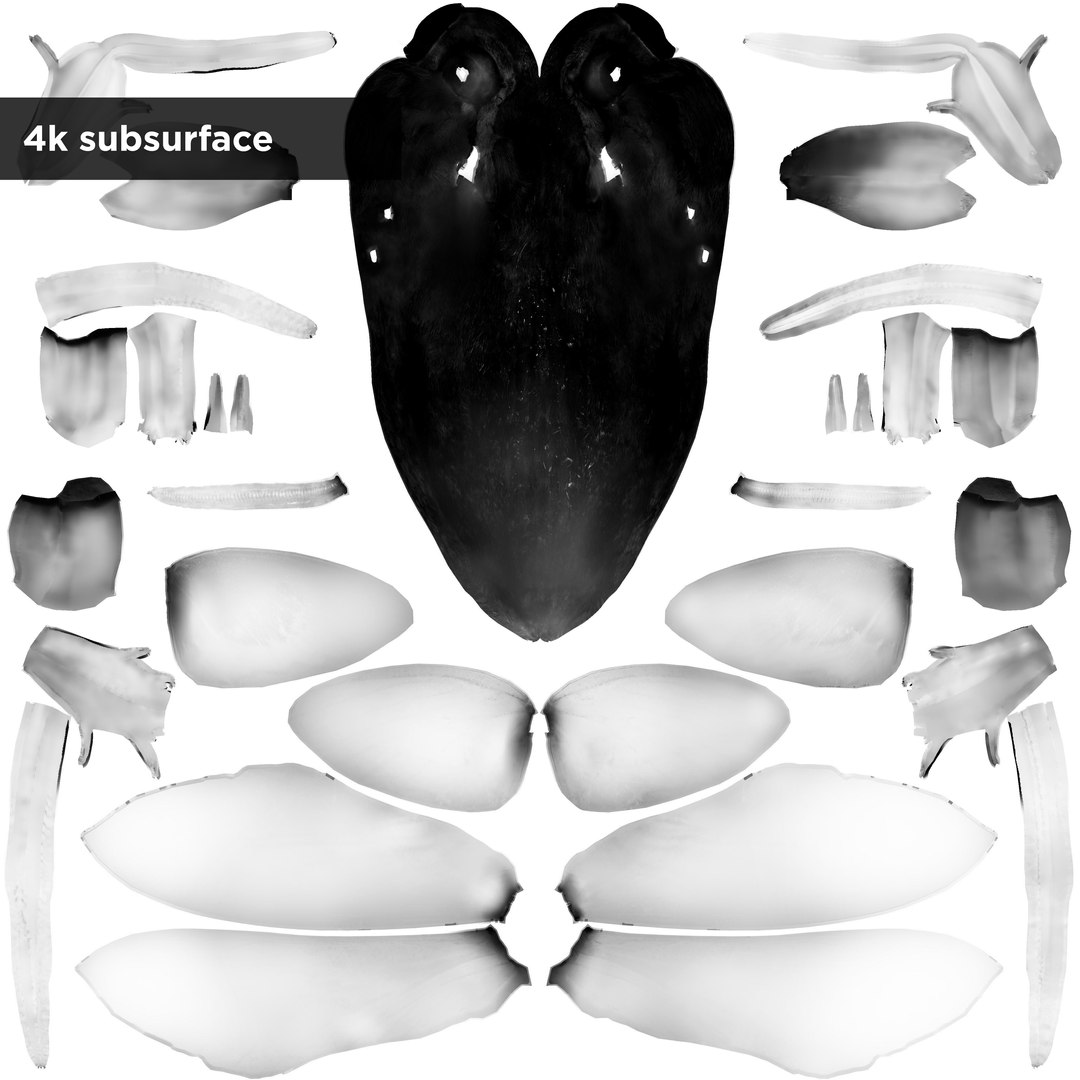 3D moth rigged https://p.turbosquid.com/ts-thumb/80/zyWXMH/1Mg97KOK/tex_sss/jpg/1531767566/1920x1080/fit_q87/182ebde1d1c50c33476ae0778fe2ccfb49514ed8/tex_sss.jpg