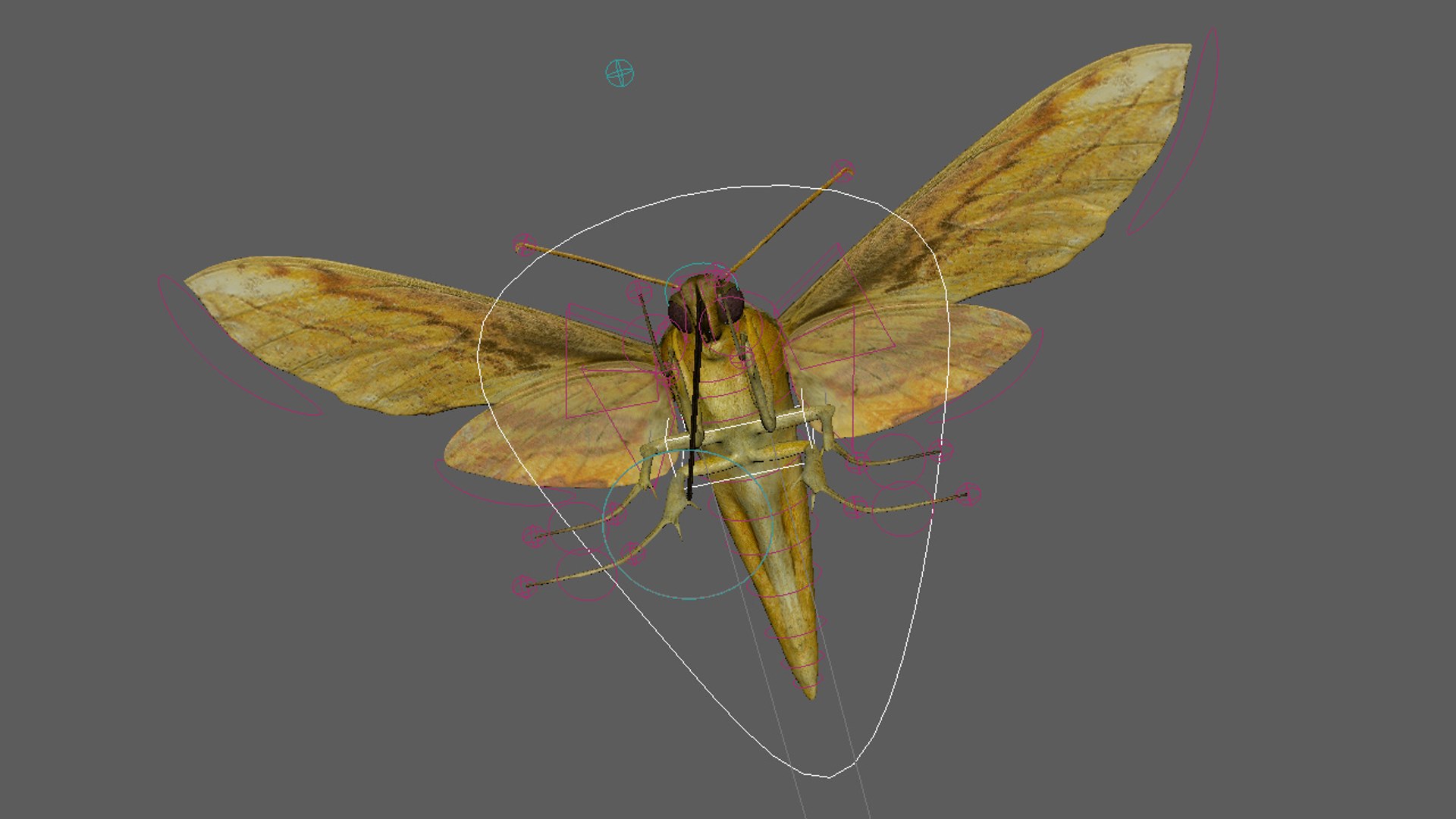3D moth rigged https://p.turbosquid.com/ts-thumb/80/zyWXMH/6mlwBWjF/rig_btm/jpg/1531771803/1920x1080/fit_q87/8c21a5fa1efc16473aa1979f1596a7b6f7d69d43/rig_btm.jpg