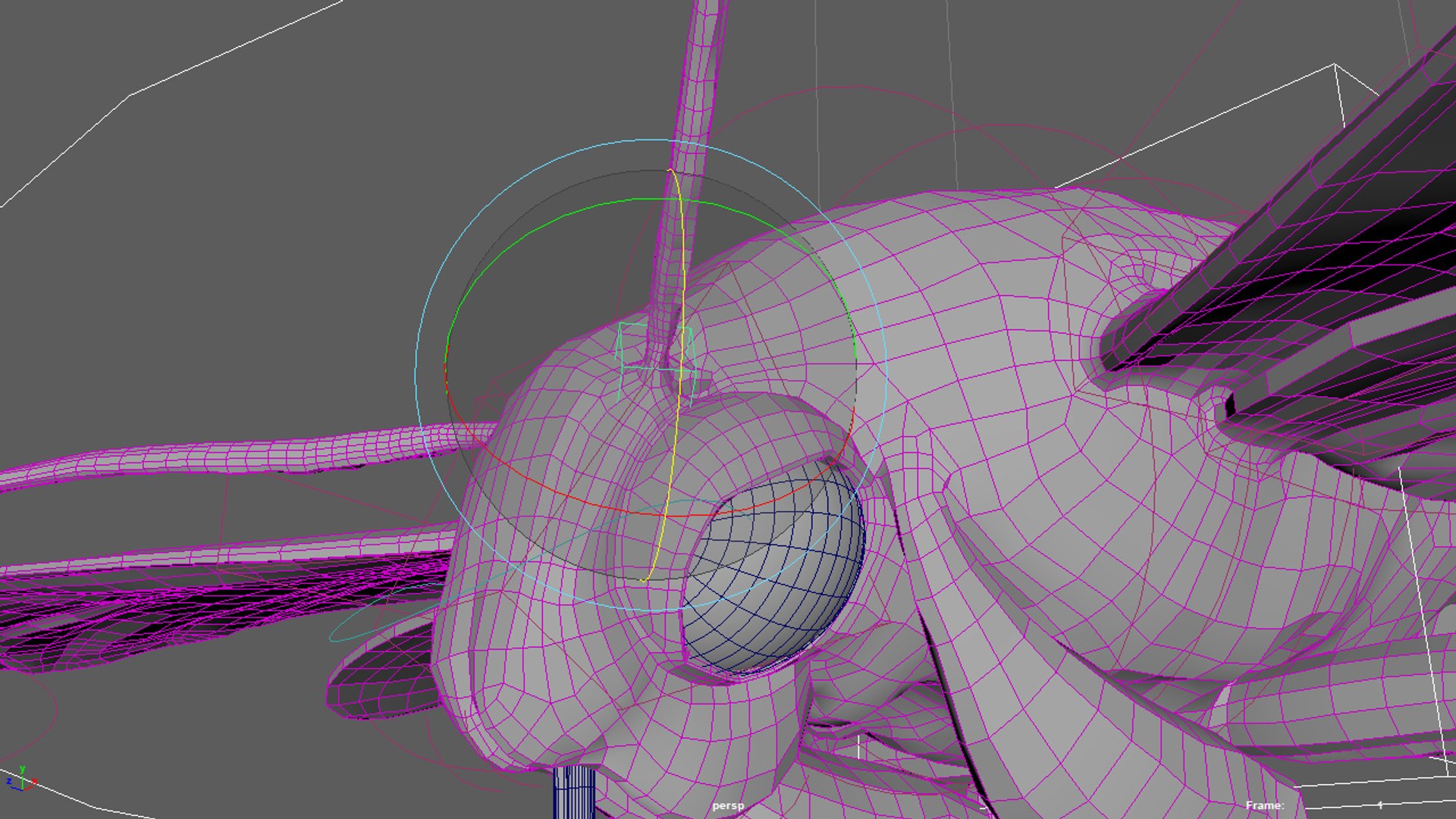 3D moth rigged https://p.turbosquid.com/ts-thumb/80/zyWXMH/TvFirw3K/scr_ant/jpg/1531771943/1920x1080/fit_q87/ec67bae7908b728b6f3aa00659b938f52b6b00f5/scr_ant.jpg